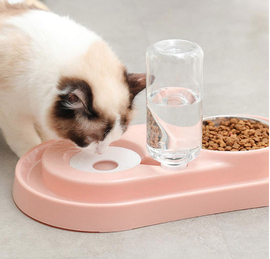 Stainless Steel Pet Bowls with Automatic Water Bottle.