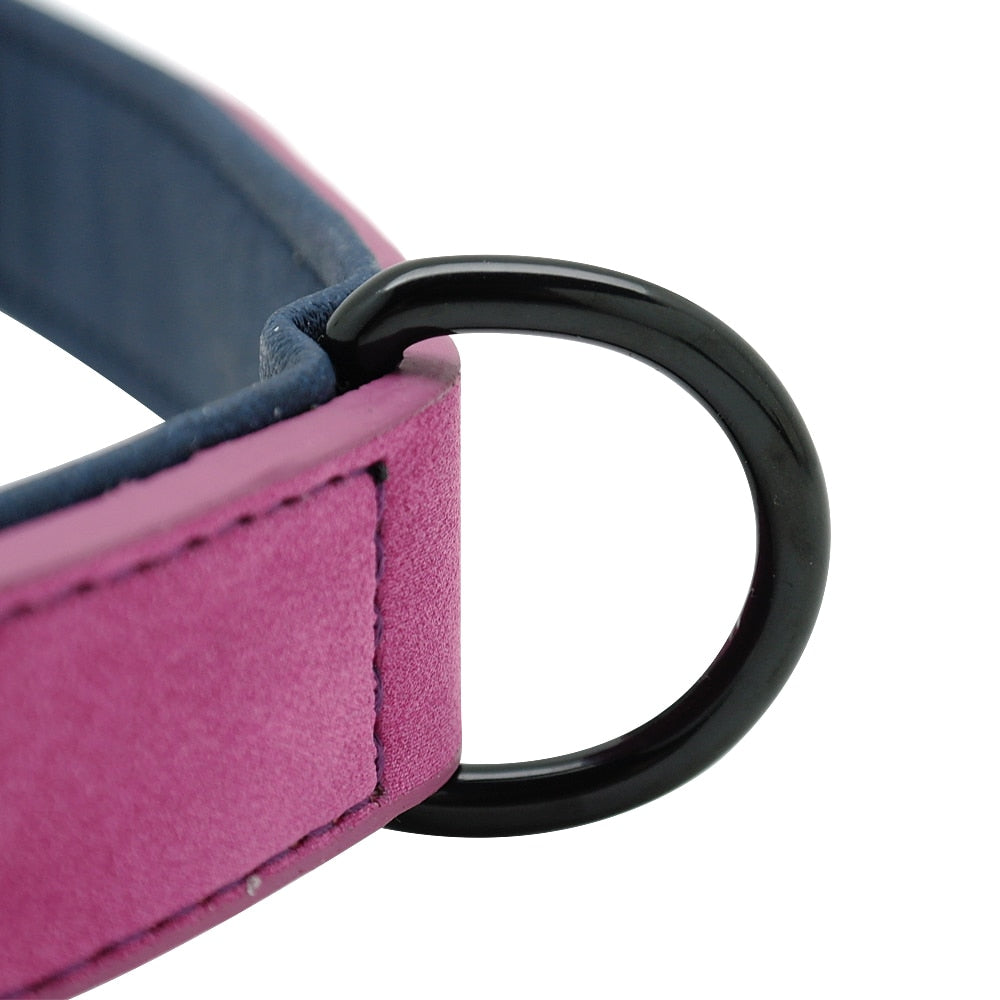 Soft Dog Collars Leather Padded.