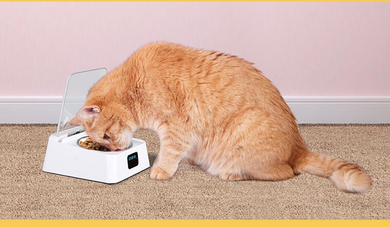 Automatic Switch Moisture-proof Smart Feeder Cat And Dog Bowl.