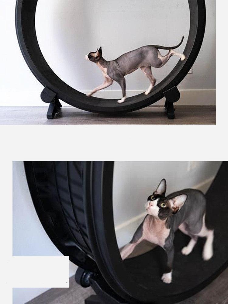 Catfitrun-The Ultimate Pet Cat Running Wheel For Fitness And Fun.