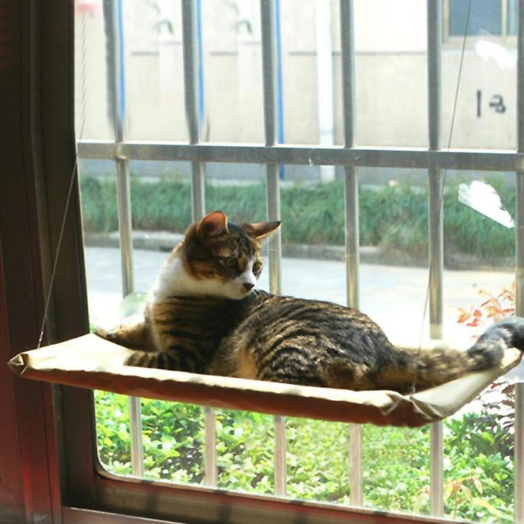 Cat Window Bed.