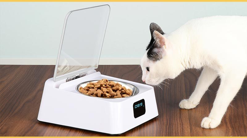 Automatic Switch Moisture-proof Smart Feeder Cat And Dog Bowl.