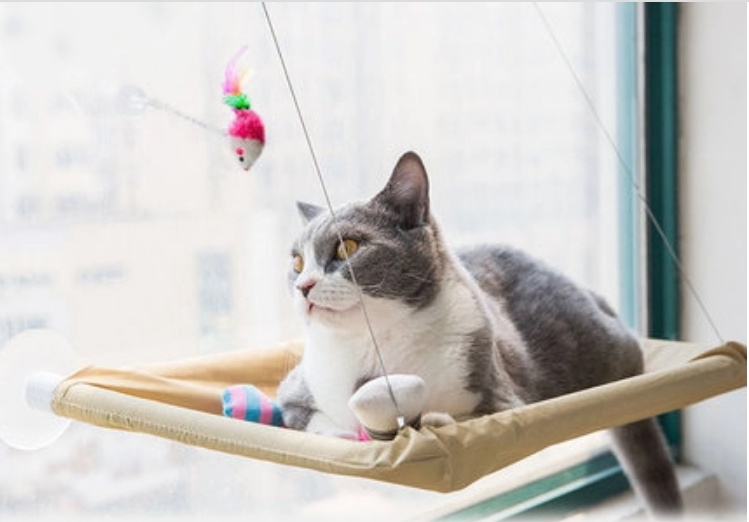 Cat Window Bed.