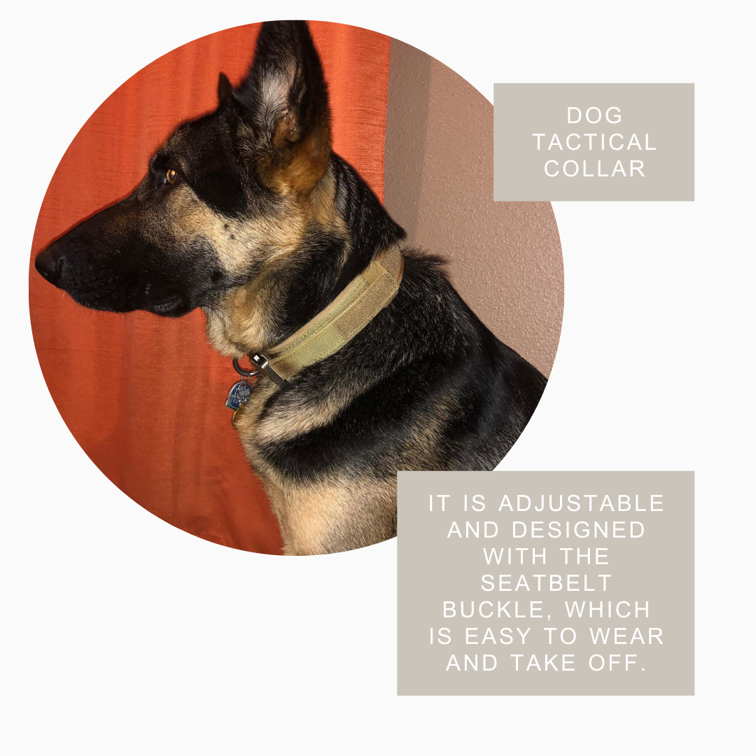 Durable Military Dog Collar.