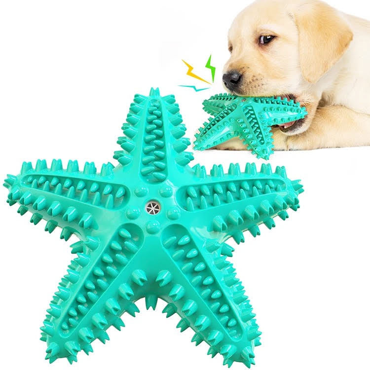 3 Pack Squeaky Toothbrush & Cotton Rope And Ball.