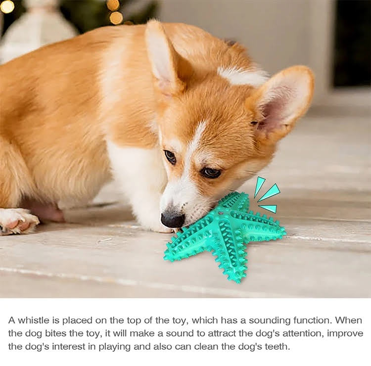 3 Pack Squeaky Toothbrush & Cotton Rope And Ball.