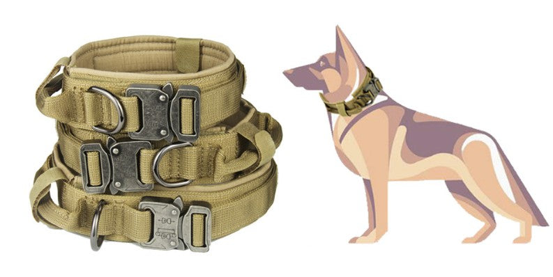 Durable Military Dog Collar.