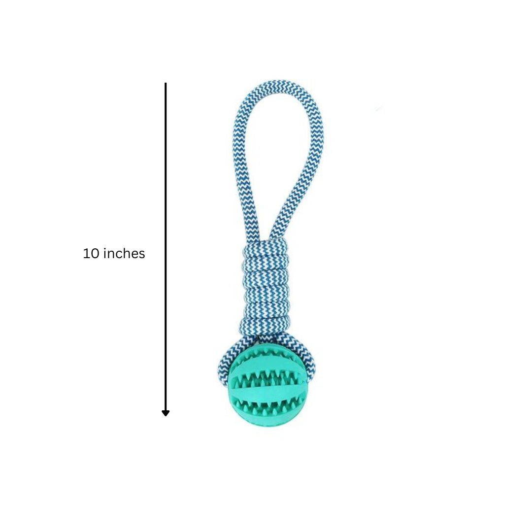 3 Pack Squeaky Toothbrush & Cotton Rope And Ball.