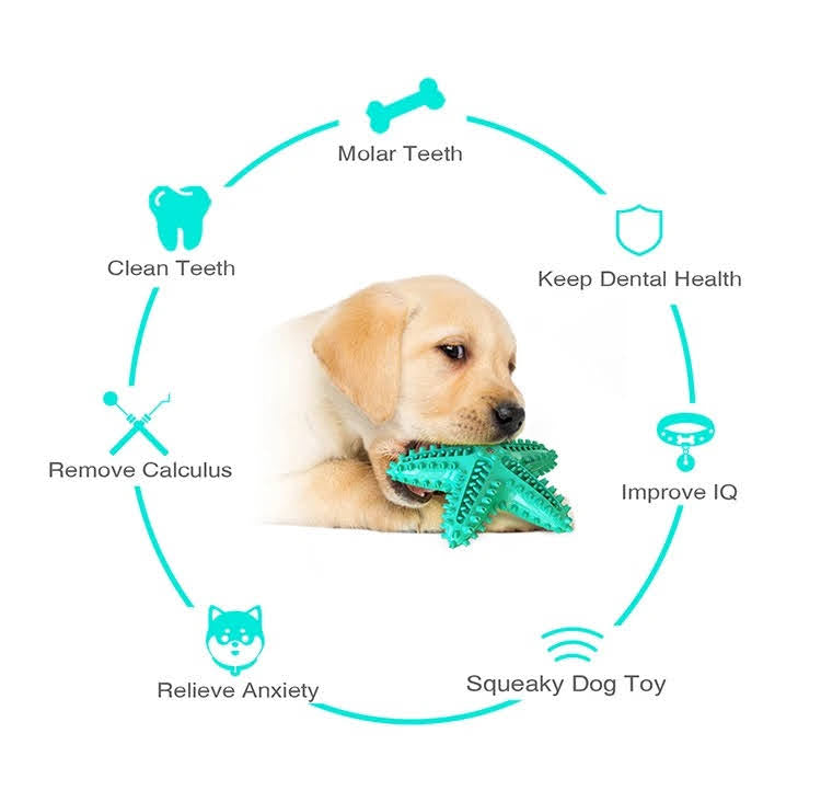 3 Pack Squeaky Toothbrush & Cotton Rope And Ball.