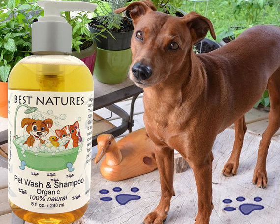 Organic Pet Wash and Shampoo for our Furry Friends.