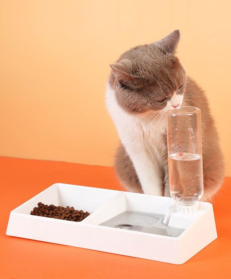 Cat/Dog Water Feeder Bowl.
