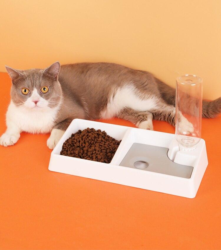 Cat/Dog Water Feeder Bowl.