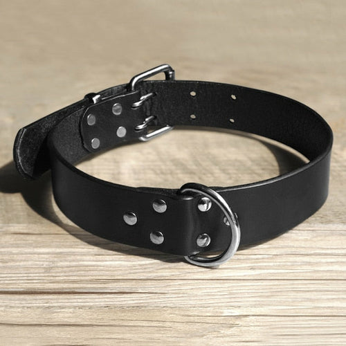 Durable Leather Dog Collar and Leash Genuine Leather Dogs Collar Pet.