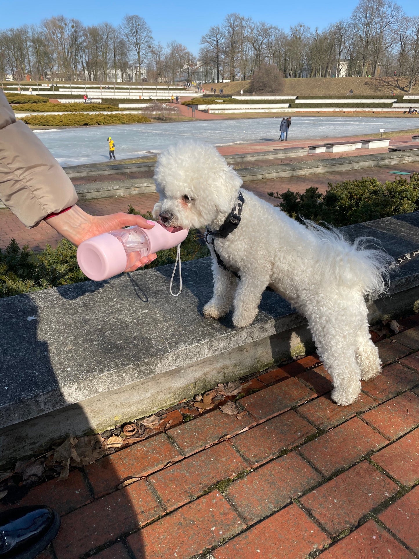 Portable Pet Food & Water Bottle.