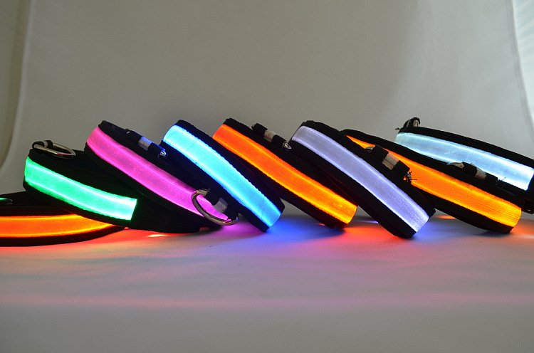 LED Light Up Dog Collar.