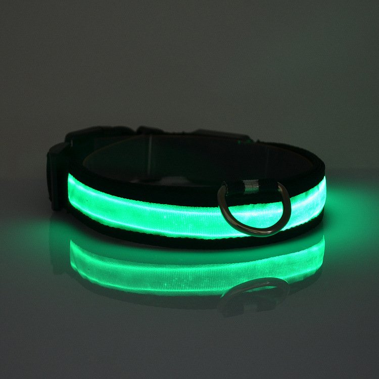 LED Light Up Dog Collar.