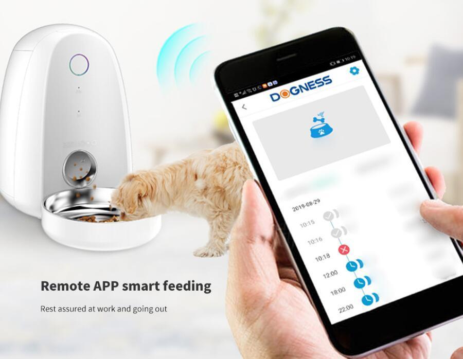 Smartpaws Automatic Pet Feeder: The Ultimate Solution For Remote.