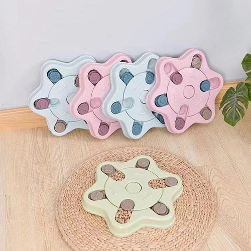 Interactive Slow Feeder Dog Bowl.