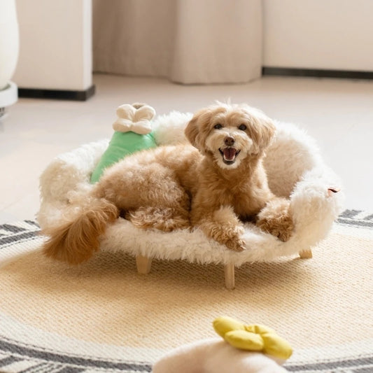 Dogs And Cats Bed Luxury Cat Bed.