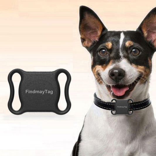 Smart Cat/Dog GPS Locator.