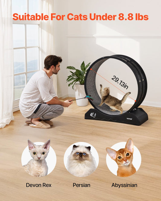 Cat Exercise Treadmill 31.5 In.