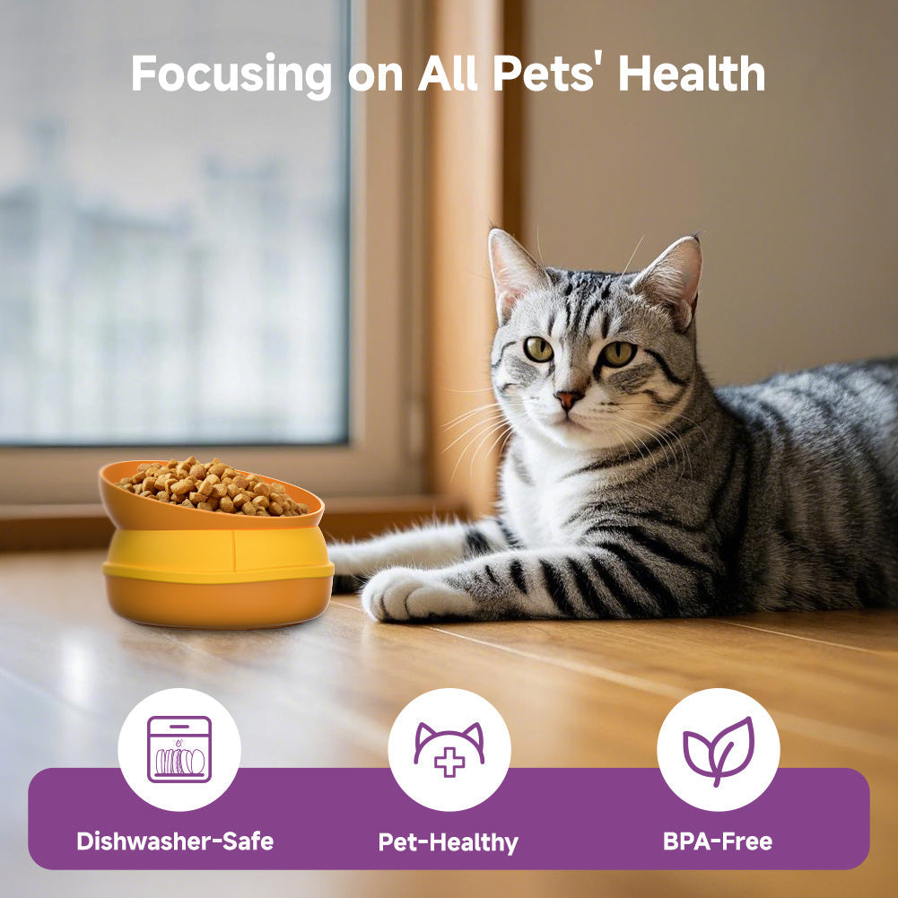 Pet Multi-Functional Five-In-One Bowl.