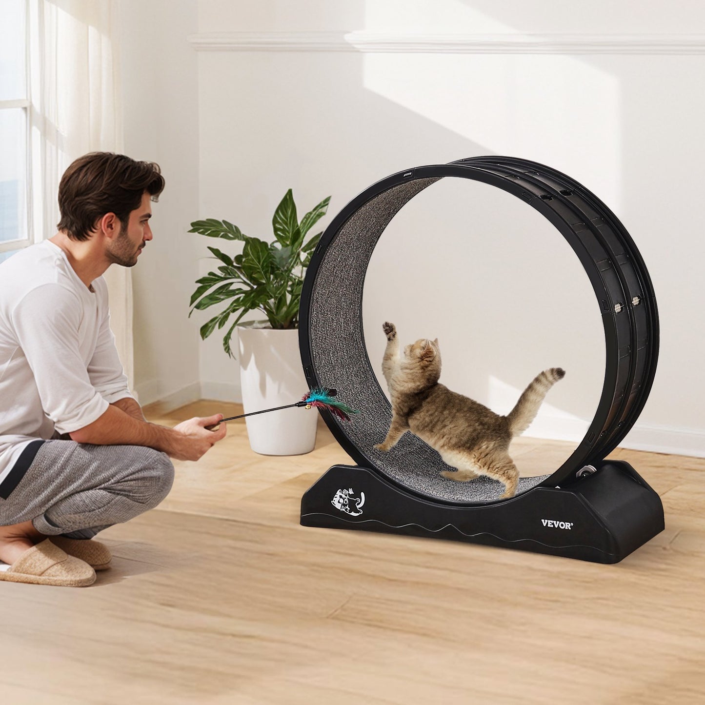 Cat Exercise Treadmill 31.5 In.