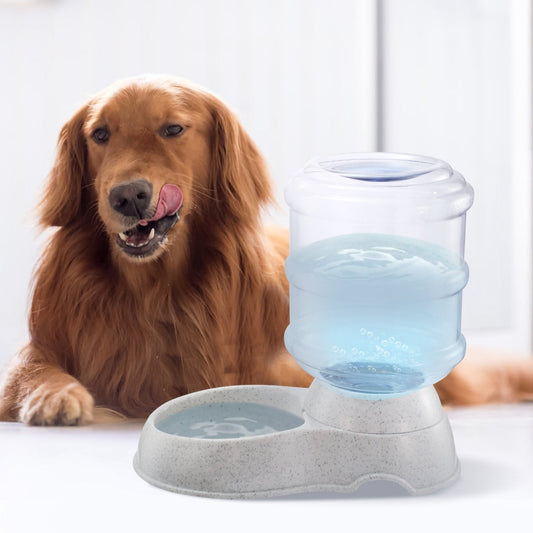 Pet Water Dispenser.