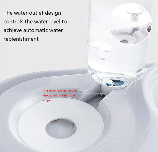 Stainless Steel Pet Bowls with Automatic Water Bottle.
