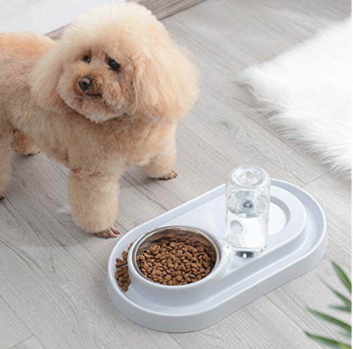 Stainless Steel Pet Bowls with Automatic Water Bottle.