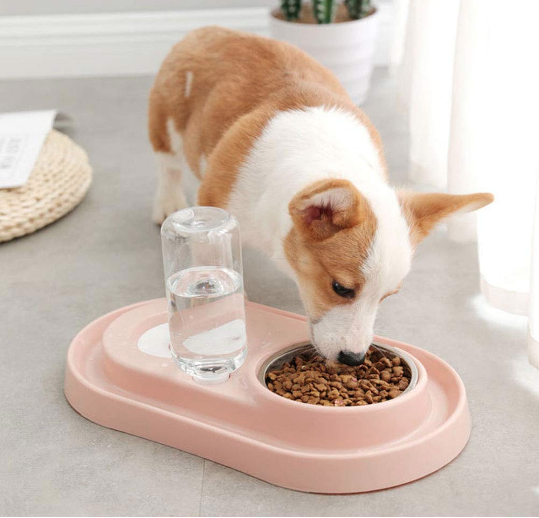 Stainless Steel Pet Bowls with Automatic Water Bottle.