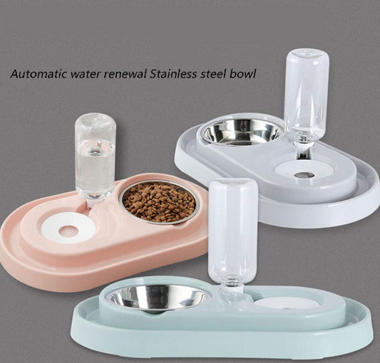 Stainless Steel Pet Bowls with Automatic Water Bottle.
