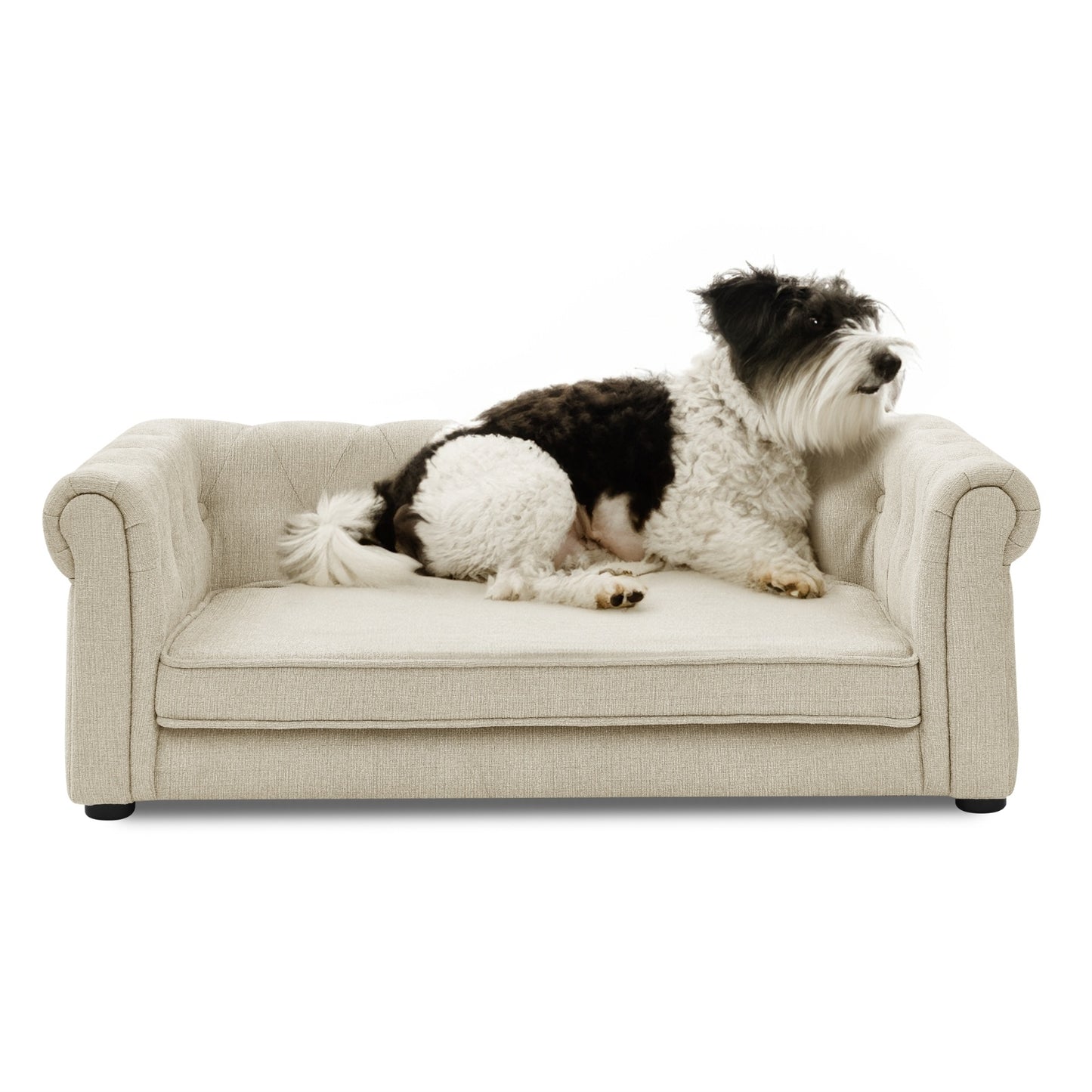 Elegant Rectangle Pet Bed For Medium And Large Dogs, Durable Elevated,Comfortable Dog Bed.
