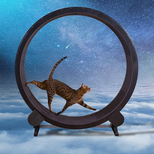 Catfitrun-The Ultimate Pet Cat Running Wheel For Fitness And Fun.