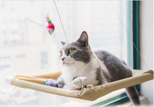 Cat Window Bed.