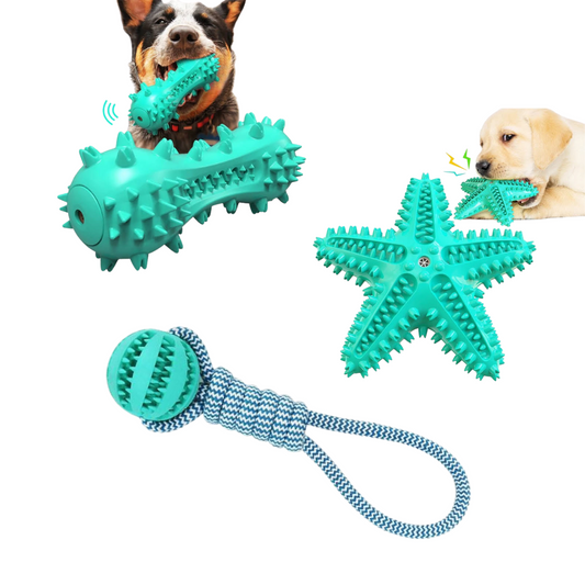 3 Pack Squeaky Toothbrush & Cotton Rope And Ball.