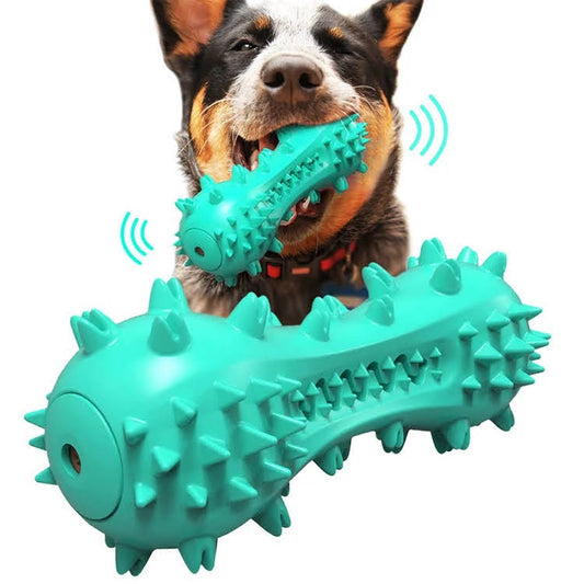 3 Pack Squeaky Toothbrush & Cotton Rope And Ball.