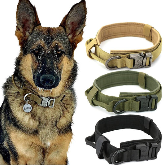 Durable Military Dog Collar.