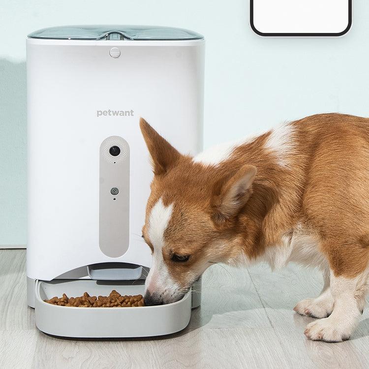 Smartpaws Automatic Pet Feeder - Intelligent Food Monitoring.
