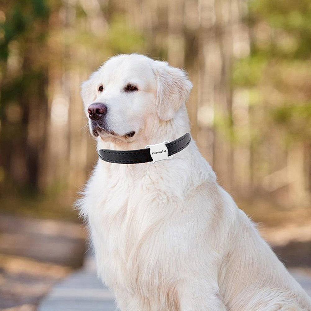 Smart Cat/Dog GPS Locator.