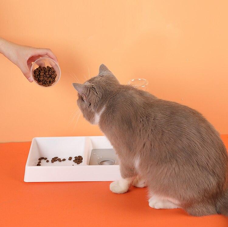 Cat/Dog Water Feeder Bowl.