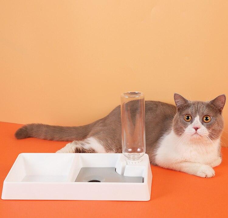 Cat/Dog Water Feeder Bowl.